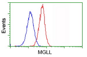 MGLL / Monoacylglycerol Lipase Antibody - Flow cytometry of Jurkat cells, using anti-MGLL antibody (Red), compared to a nonspecific negative control antibody (Blue).