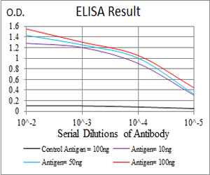 MGMT Antibody - Black line: Control Antigen (100 ng);Purple line: Antigen(10ng);Blue line: Antigen (50 ng);Red line: Antigen (100 ng);