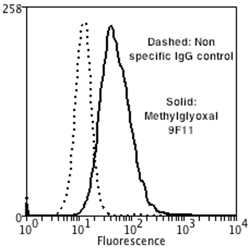 MGO / Methylglyoxal Antibody - Flow Cytometry analysis using Mouse Anti-Methylglyoxal Monoclonal Antibody, Clone 9F11. Tissue: Neuroblastoma cells (SH-SY5Y). Species: Human. Fixation: 90% Methanol. Primary Antibody: Mouse Anti-Methylglyoxal Monoclonal Antibody  at 1:50 for 30 min on ice. Secondary Antibody: Goat Anti-Mouse: PE at 1:100 for 20 min at RT. Isotype Control: Non Specific IgG. Cells were subject to oxidative stress by treating with 250 µM H2O2 for 24 hours.