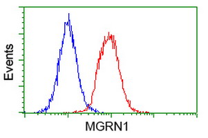 MGRN1 Antibody - Flow cytometry of HeLa cells, using anti-MGRN1 antibody (Red), compared to a nonspecific negative control antibody (Blue).