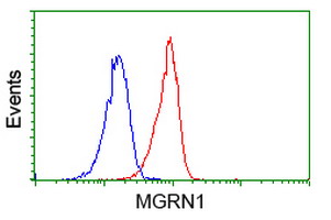 MGRN1 Antibody - Flow cytometry of Jurkat cells, using anti-MGRN1 antibody (Red), compared to a nonspecific negative control antibody (Blue).