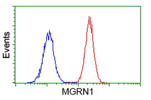 MGRN1 Antibody - Flow cytometry of Jurkat cells, using anti-MGRN1 antibody (Red), compared to a nonspecific negative control antibody (Blue).