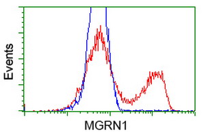 MGRN1 Antibody - HEK293T cells transfected with either overexpress plasmid (Red) or empty vector control plasmid (Blue) were immunostained by anti-MGRN1 antibody, and then analyzed by flow cytometry.