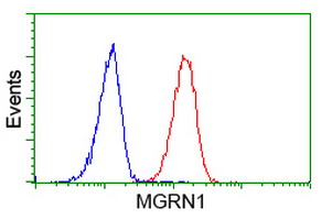 MGRN1 Antibody - Flow cytometry of HeLa cells, using anti-MGRN1 antibody (Red), compared to a nonspecific negative control antibody (Blue).