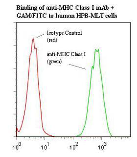 MHC Class I Antibody - Flow cytometry of MHC Class I antibody This image was taken for the unmodified form of this product. Other forms have not been tested.