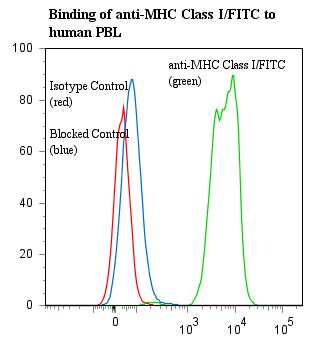 MHC Class I Antibody - Flow cytometry of MHC Class I antibody This image was taken for the unconjugated form of this product. Other forms have not been tested.