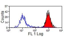 MHC Class I Monomorphic Antibody - Flow cytometry of equine peripheral blood lymphocytes with Mouse anti-Equine MHC Class 1:FITC This image was taken for the unconjugated form of this product. Other forms have not been tested.