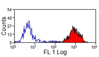 MHC Class I Monomorphic Antibody - Flow cytometry of equine peripheral blood lymphocytes with Mouse anti-Equine MHC Class 1 , followed by Goat anti-Mouse IgG:FITC.  This image was taken for the unconjugated form of this product. Other forms have not been tested.