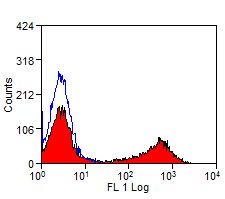 MHC Class II Antibody - Flow cytometry of bovine peripheral blood lymphocytes with Mouse anti-Bovine MHC Class II (monomorphic):FITC This image was taken for the unconjugated form of this product. Other forms have not been tested.