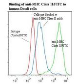 MHC Class II Antibody - Flow cytometry of MHC Class II antibody This image was taken for the unconjugated form of this product. Other forms have not been tested.