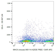 MHC Class II I-A/I-E Antibody - Surface staining of MHCII on murine splenocytes with anti-MHCII (M5/114) azide free, GAR-APC.