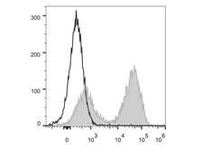 MHC Class II I-A/I-E Antibody - C57BL/6 murine splenocytes are stained with Anti-Mouse I-A/I-E Monoclonal Antibody(PerCP/Cyanine5.5 Conjugated)[Used at 0.05 µg/10<sup>6</sup> cells dilution](filled gray histogram). Unstained splenocytes (empty black histogram) are used as control.