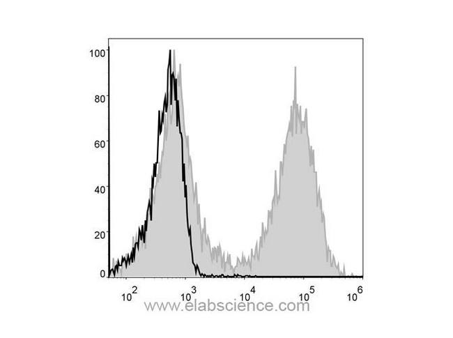 MHC Class II I-A/I-E Antibody