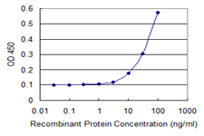 MIA / CD-RAP Antibody - Detection limit for recombinant GST tagged MIA is 3 ng/ml as a capture antibody.