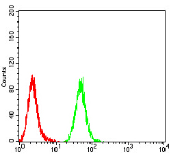 MIB1 Antibody - Flow cytometric analysis of Hela cells using MIB1 mouse mAb (green) and negative control (red).