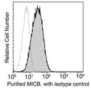 MICB Antibody - Flow cytometric analysis of anti-MICB (10759-MM12) on MCF-7 cells. MCF-7 cells were detached using 1X trypsin, washed, then stained with purified mouse anti-MICB. Second step staining with rabbit anti-mouse IgG FC polyclonal antibody.