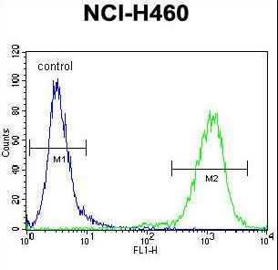 MIER2 Antibody - MIER2 Antibody flow cytometry of NCI-H460 cells (right histogram) compared to a negative control cell (left histogram). FITC-conjugated goat-anti-rabbit secondary antibodies were used for the analysis.