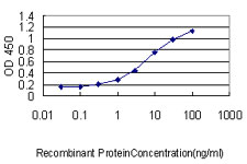 MIF Antibody - Detection limit for recombinant GST tagged MIF is approximately 0.1 ng/ml as a capture antibody.