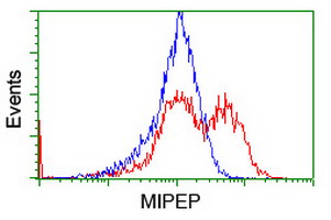MIPEP Antibody - HEK293T cells transfected with either overexpress plasmid (Red) or empty vector control plasmid (Blue) were immunostained by anti-MIPEP antibody, and then analyzed by flow cytometry.