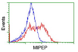 MIPEP Antibody - HEK293T cells transfected with either overexpress plasmid (Red) or empty vector control plasmid (Blue) were immunostained by anti-MIPEP antibody, and then analyzed by flow cytometry.