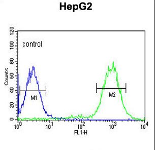 MISP / C19orf21 Antibody - C19orf21 Antibody flow cytometry of HepG2 cells (right histogram) compared to a negative control cell (left histogram). FITC-conjugated goat-anti-rabbit secondary antibodies were used for the analysis.