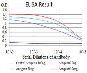 MITF Antibody - Black line: Control Antigen (100 ng);Purple line: Antigen (10ng); Blue line: Antigen (50 ng); Red line:Antigen (100 ng)