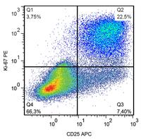 MKI67 / Ki67 Antibody - Flow cytometry analysis of human peripheral blood mononuclear cells stimulated with PHA. Surface staining of CD25 (clone MEM-181 APC) was followed by permeabilization and nuclear staining of Ki-67 (clone Ki-67 PE).