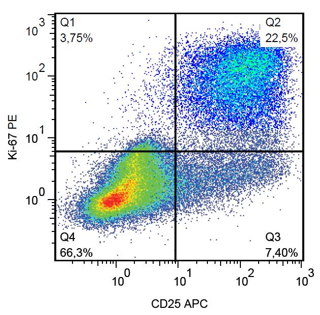 MKI67 / Ki67 Antibody - Flow cytometry analysis of human peripheral blood mononuclear cells stimulated with PHA. Surface staining of CD25 (clone MEM-181 APC) was followed by permeabilization and nuclear staining of Ki-67 (clone Ki-67 PE).