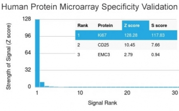 MKI67 / Ki67 Antibody - Analysis of HuProt(TM) microarray containing more than 19,000 full-length human proteins using Ki67 antibody (clone MKI67/2461). These results demonstrate the foremost specificity of the MKI67/2461 mAb. Z- and S- score: The Z-score represents the strength of a signal that an antibody (in combination with a fluorescently-tagged anti-IgG secondary Ab) produces when binding to a particular protein on the HuProt(TM) array. Z-scores are described in units of standard deviations (SD's) above the mean value of all signals generated on that array. If the targets on the HuProt(TM) are arranged in descending order of the Z-score, the S-score is the difference (also in units of SD's) between the Z-scores. The S-score therefore represents the relative target specificity of an Ab to its intended target.