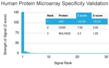 MKI67 / Ki67 Antibody - Analysis of HuProt(TM) microarray containing more than 19,000 full-length human proteins using Ki67 antibody (clone MKI67/2463). These results demonstrate the foremost specificity of the MKI67/2463 mAb. Z- and S- score: The Z-score represents the strength of a signal that an antibody (in combination with a fluorescently-tagged anti-IgG secondary Ab) produces when binding to a particular protein on the HuProt(TM) array. Z-scores are described in units of standard deviations (SD's) above the mean value of all signals generated on that array. If the targets on the HuProt(TM) are arranged in descending order of the Z-score, the S-score is the difference (also in units of SD's) between the Z-scores. The S-score therefore represents the relative target specificity of an Ab to its intended target.