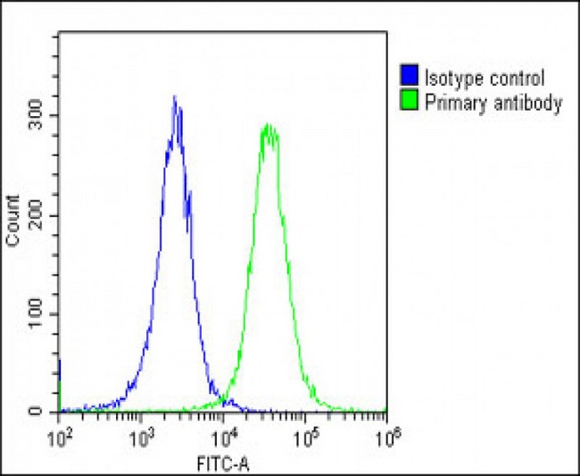 MLC3F / MYL1 Antibody - Overlay histogram showing Hela cells stained with MYL1 Antibody (Center) (green line). The cells were fixed with 2% paraformaldehyde (10 min) and then permeabilized with 90% methanol for 10 min. The cells were then icubated in 2% bovine serum albumin to block non-specific protein-protein interactions followed by the antibody (MYL1 Antibody (Center), 1:25 dilution) for 60 min at 37°C. The secondary antibody used was Goat-Anti-Rabbit IgG, DyLight® 488 Conjugated Highly Cross-Adsorbed (OE188374) at 1/200 dilution for 40 min at 37°C. Isotype control antibody (blue line) was rabbit IgG1 (1µg/1x10^6 cells) used under the same conditions. Acquisition of >10, 000 events was performed.