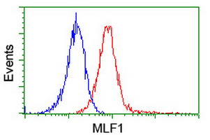 MLF1 Antibody - Flow cytometry of Jurkat cells, using anti-MLF1 antibody (Red), compared to a nonspecific negative control antibody (Blue).