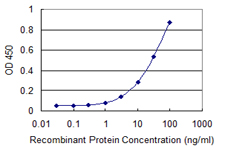 MLF2 Antibody - Detection limit for recombinant GST tagged MLF2 is 0.3 ng/ml as a capture antibody.