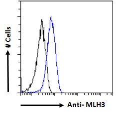 MLH3 Antibody - Goat Anti-MLH3 Antibody Flow cytometric analysis of paraformaldehyde fixed HeLa cells (blue line), permeabilized with 0.5% Triton. Primary incubation 1hr (10ug/ml) followed by Alexa Fluor 488 secondary antibody (1ug/ml). IgG control: Unimmunized goat IgG (black line) followed by Alexa Fluor 488 secondary antibody.