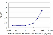 MLLT3 / AF9 Antibody - Detection limit for recombinant GST tagged MLLT3 is approximately 3 ng/ml as a capture antibody.