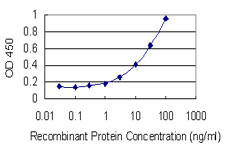 MLN / Motilin Antibody - Detection limit for recombinant GST tagged MLN is 1 ng/ml as a capture antibody.