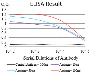 MLXIPL / CHREBP Antibody - Red: Control Antigen (100ng); Purple: Antigen (10ng); Green: Antigen (50ng); Blue: Antigen (100ng);