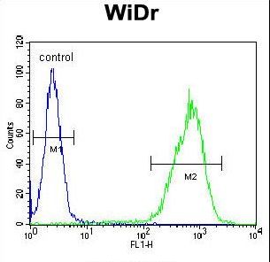 MLZE Antibody - GSDMC Antibody flow cytometry of WiDr cells (right histogram) compared to a negative control cell (left histogram). FITC-conjugated goat-anti-rabbit secondary antibodies were used for the analysis.