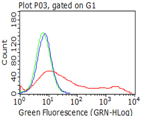 MME / CD10 Antibody - Flow cytometric analysis of living 293T cells transfected with MME overexpression plasmid , Red)/empty vector  Blue) using anti-MME antibody. Cells incubated with a non-specific antibody. (Green) were used as isotype control. (1:100)