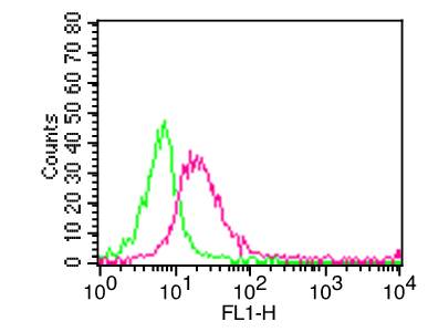 MME / CD10 Antibody - Fig-1: Cell Surface flow analysis of hCD10 in PBMC (Monocyte gated) using 1 µg/10^6 cells. Green represents isotype control; red represents FITC conjugate anti-hCD10 antibody (F, clone: CALLA).