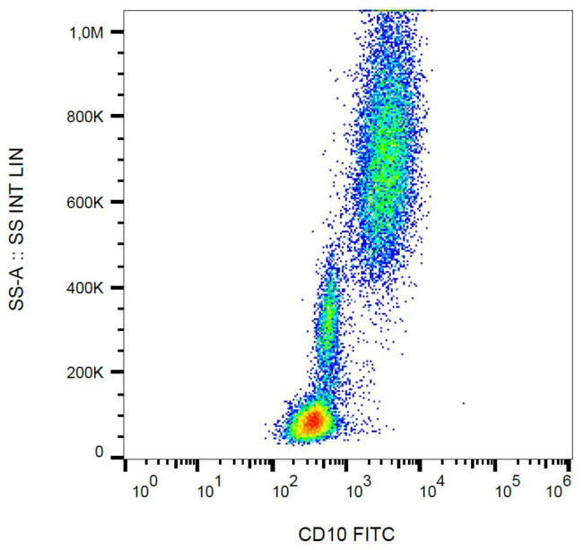 MME / CD10 Antibody - Surface staining of human peripheral blood cells with anti-CD10 (LT10) FITC.