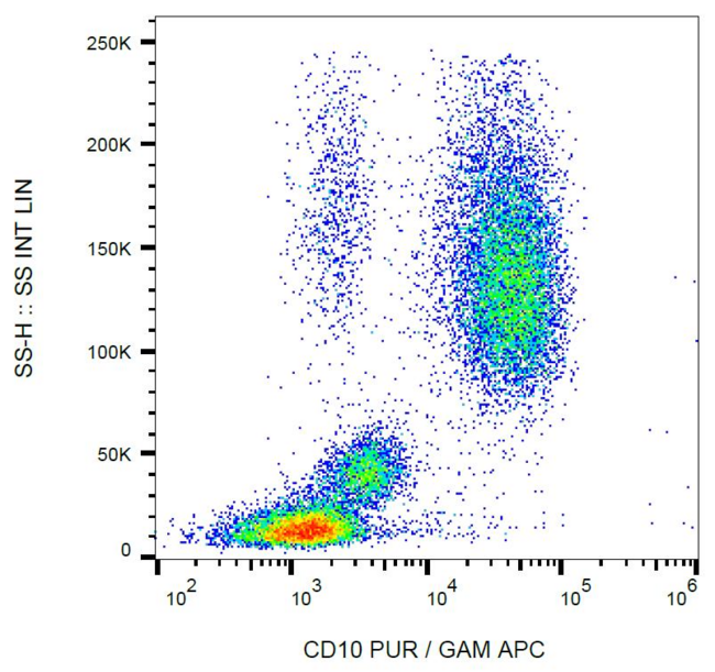 MME / CD10 Antibody - Surface staining of human peripheral blood cells with anti-CD10 (LT10) purified; GAM-APC.