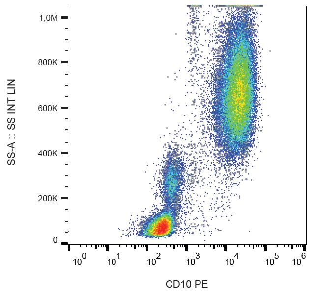 MME / CD10 Antibody - Surface staining of human peripheral blood cells with anti-CD10 (LT10) PE.