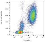 MME / CD10 Antibody - Surface staining of human peripheral blood with anti-human CD10 (MEM-78) APC.