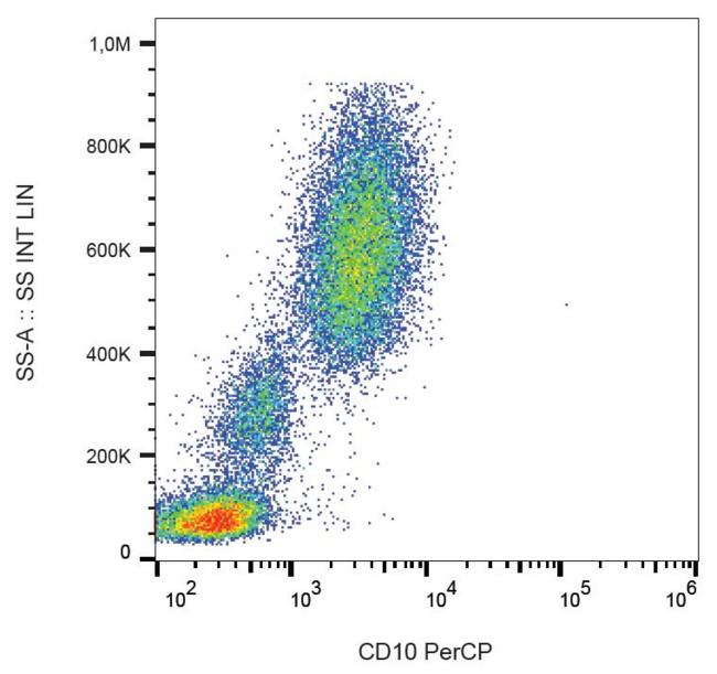 MME / CD10 Antibody - Surface staining of human peripheral blood with anti-human CD10 (MEM-78) PerCP.