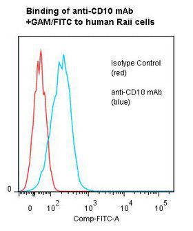 MME / CD10 Antibody - Flow cytometry of MME / CD10 antibody This image was taken for the unmodified form of this product. Other forms have not been tested.