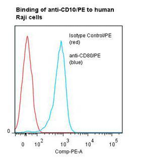MME / CD10 Antibody - Flow cytometry of MME / CD10 antibody This image was taken for the unconjugated form of this product. Other forms have not been tested.