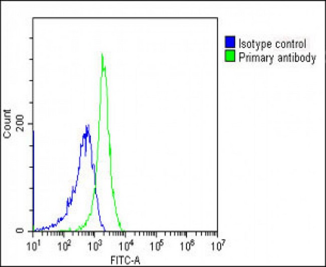 MME / CD10 Antibody - Overlay histogram showing Jurkat cells stained with MME Antibody (Center) (green line). The cells were fixed with 2% paraformaldehyde (10 min). The cells were then icubated in 2% bovine serum albumin to block non-specific protein-protein interactions followed by the antibody (MME Antibody (Center), 1:25 dilution) for 60 min at 37°C. The secondary antibody used was Goat-Anti-Mouse IgG, DyLight® 488 Conjugated Highly Cross-Adsorbed (NH174309) at 1/200 dilution for 40 min at 37°C. Isotype control antibody (blue line) was mouse IgG1 (1µg/1x10^6 cells) used under the same conditions. Acquisition of >10, 000 events was performed.