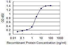 MMP26 Antibody - Detection limit for recombinant GST tagged MMP26 is 0.03 ng/ml as a capture antibody.