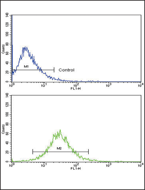 MMP3 Antibody - Flow cytometric of HepG2 cells using MMP3 Antibody (bottom histogram) compared to a negative control cell (top histogram). FITC-conjugated goat-anti-rabbit secondary antibodies were used for the analysis.